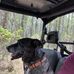 Josh Page - Facebook