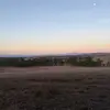 joshpage - @joshpage__ - TikTok