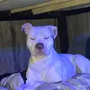 heoevfehevehdmnebejrjdhrbdbdhh - @joshpayton56 - TikTok