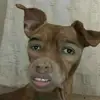 Josh Payton - @joshpayton - TikTok