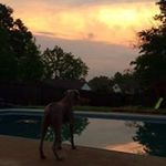 Josh Peebles - @peeblesjosh - Instagram