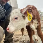 Josh Pelletier - @j.p.nala_farms - Instagram