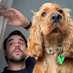 Josh Perring - @joshperring - Instagram