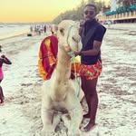 josh  Peter - @josh_peter2234 - Instagram