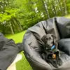 Josh Peter - @josh.peter05 - TikTok