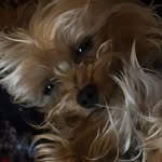 @joshpfaff83 - Instagram