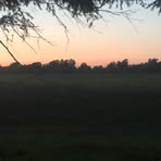 Josh Pickett - Facebook