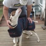 Josh Picone - @josh_picone - Instagram