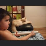 Josh Pitt - Facebook