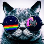 Josh Pitt - @jpittsta2 - Instagram