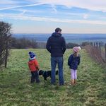 Josh Pitt - @josh5455 - Instagram