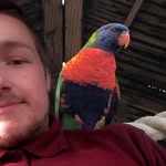 Josh Pollard - @josh_pollard98 - Instagram