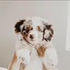 𝗝𝗼𝘀𝗵 𝗙𝗮𝗻𝗽𝗮𝗴𝗲 😀 - @.joshpost - TikTok