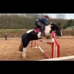 Josh Postans - @josh.postans16 - Instagram