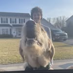 Joshua Post - @joshpost31 - Instagram