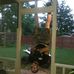 Joshua Pride - Facebook