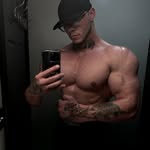 Josh Quick | Online Coach - @art_of_aesthetics_ - Instagram