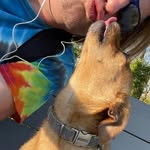 Josh Ranson - @ranson.josh - Instagram