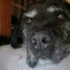 Josh_ransonmcl - @josh_ransonmcl - TikTok