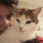 Josh Reilly - @joshreilly438 - Instagram