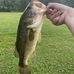 Josh Reilly - Facebook