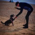 Josh Reilly - @official.joshreilly - Instagram