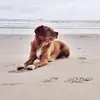 joshuarenshaw593 - @joshuarenshaw593 - TikTok