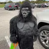 Josh Rickard173 - @joshrickard173 - TikTok
