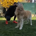 Josh Riley - @_josh.riley - Instagram