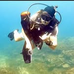 Josh Rowley - @josh.diving - Instagram
