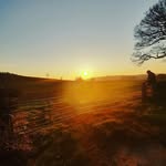 Josh Rowley - @joshrowleymusic - Instagram