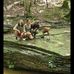 Josh Royer - Facebook