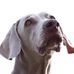 Josh Rupp - Facebook