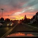 Josh Sandler - @sandlerjosh - Instagram
