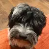 Josh Sandler - @joshsandler10 - TikTok