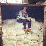 Josh Sandler - @joshsand - Instagram