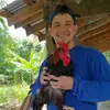 joshsandler - @joshyjoshler - TikTok