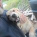 Josh Schuler - Facebook