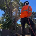Josh Schultz - @schultz_thizz805 - Instagram