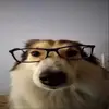 joshuaschwab89 - @joshua.schwab - TikTok