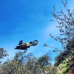 Josh Shea - @fadednation - Instagram