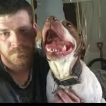 Josh Sheets - @josh.sheets.12327 - Instagram