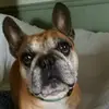 Josh Shields - @joshshields - TikTok