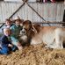 Joshua Shields - Facebook