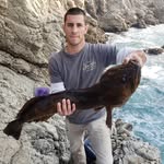 Josh Sisneros - @bend_the_bar_benchin - Instagram