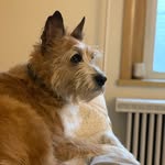 Josh Smithson - @jsmitty6756 - Instagram