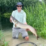 Josh Snell - @jsaxonsnell - Instagram
