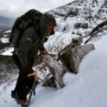 Josh Spaulding - @superspauldings - Instagram