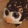 joshspeer__ - @joshspee_r - TikTok