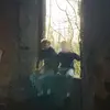 joshspeer_ - @joshspeer_ - TikTok